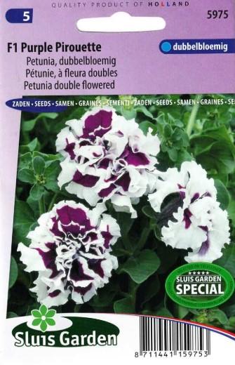 Petunia multiflora PURPLE PIROUETTE F1 - ca 30 s