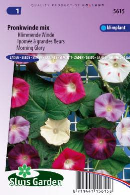 Ipomoea tricolor of klimmende winde MIX - ca 75 z