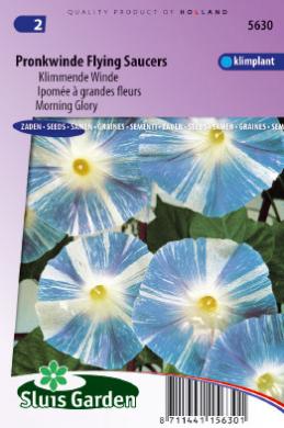 Ipomoea tricolor of klimmende winde FLYING SAUCERS - ca 50 z