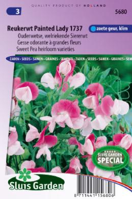 Lathyrus odoratus of reukerwt PAINTED LADY 1737 - ca 30 z