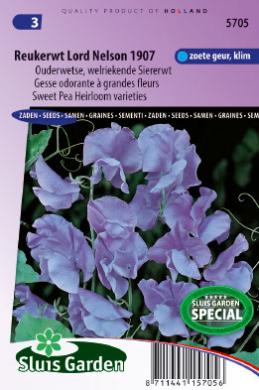 Lathyrus odoratus of reukerwt LORD NELSON 1907 - ca 30 z