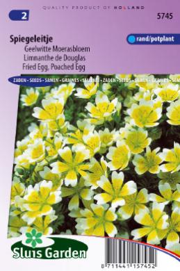 Limnanthes douglasii SPIEGELEITJE - ca 130 z