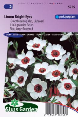 Linum grandiflorum of vlas BRIGHT EYES - ca 120 z