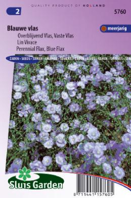 Linum PERENNE - ca 325 s