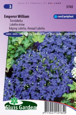 Lobelia erina compacta EMPEROR WILLIAM - ca 7500 s