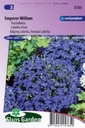 Lobelia erina compacta EMPEROR WILLIAM - ca 7500 s