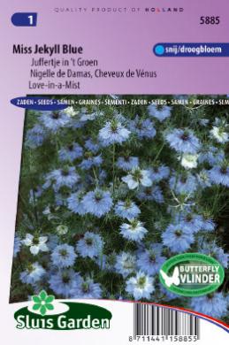 Nigella damascen MISS JEKYLL blue - ca 370 s