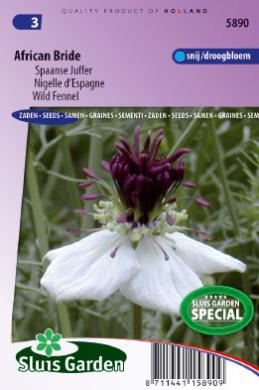 Nigella papillosa AFRICAN BRIDE - ca 75 s