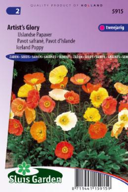 Papaver nudicaule ARTIST'S GLORY - ca 2000 s