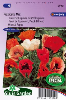 Papaver orientale PIZZICATO mix - ca 350 z