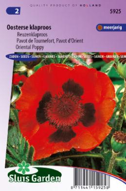 Papaver orientale OOSTERSE KLAPROOS - ca 1000 z