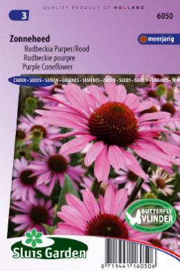 Echinacea purpurea of ZONNEHOED - ca 90 z