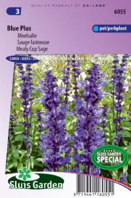 Salvia farinacea BLUE PLUS - ca 100 s
