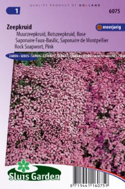 Saponaria OCYMOIDES - ca 180 z