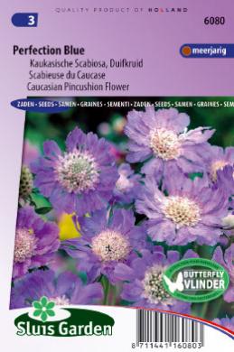 Scabiosa caucasica PERFECTION BLUE - ca 45 z