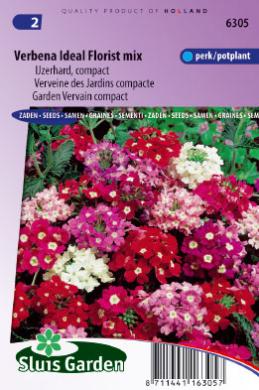 Verbena hybrida compacta IDEAL FLORIST - ca 140 s