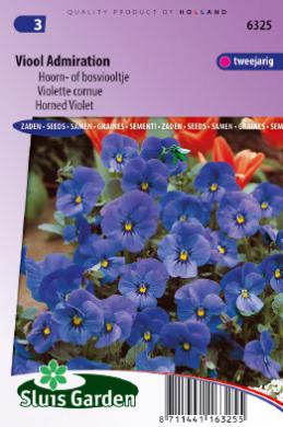 Viola cornuta hybrida ADMIRATION - ca 135 s
