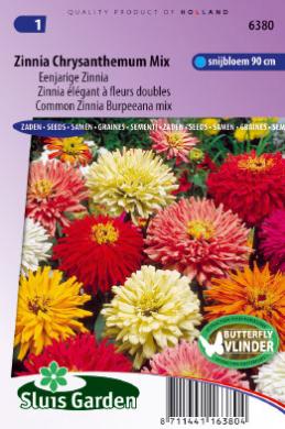 Zinnia elegans fl. pl. Chrysanthemumbloemig - ca 100 z