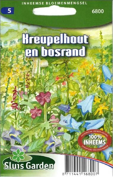 Sous-bois de plantations historiques & BORDURE DE FORÊT - ca 3 g