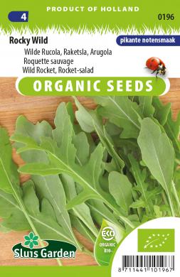 Raketsla (rucola) ROCKY WILD (BIO) - ca 6000 z