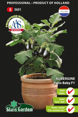 Aubergine PATIO BABY F1 - ca. 10 s