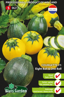 ###Courgette EIGHT BALL & ONE BALL F1 - ca 8 z