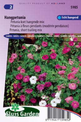 Hangpetunia HYBRIDE PENDULA CHOICE mix - ca 1500 z