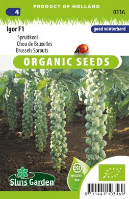 Bio - Chou de bruxelles IGOR F1 - ca 30 s