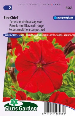 Petunia nana compacta FIRE CHIEF - ca 0,1 g