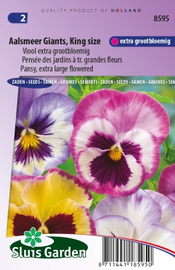Viola AALSMEER GIANTS - ca 110 s