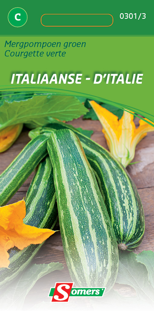 Gestreepte courgette ITALIAANSE GROENE - ca 2 g