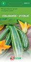 [03-003013] Courgette rayée D'ITALIE - ca 2 g