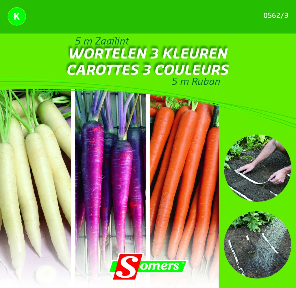 Wortelen zaailint GEKLEURDE WORTELEN - ca 5 m