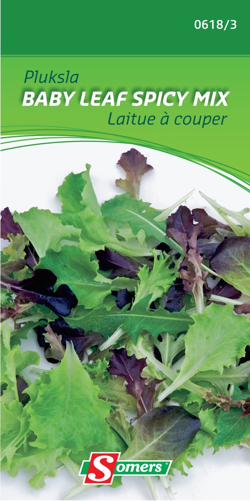 Babyleaves SPICY MIX - ca 2 g