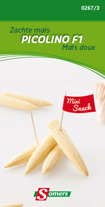 Mini mais PICOLINO F1 - ca 10 z