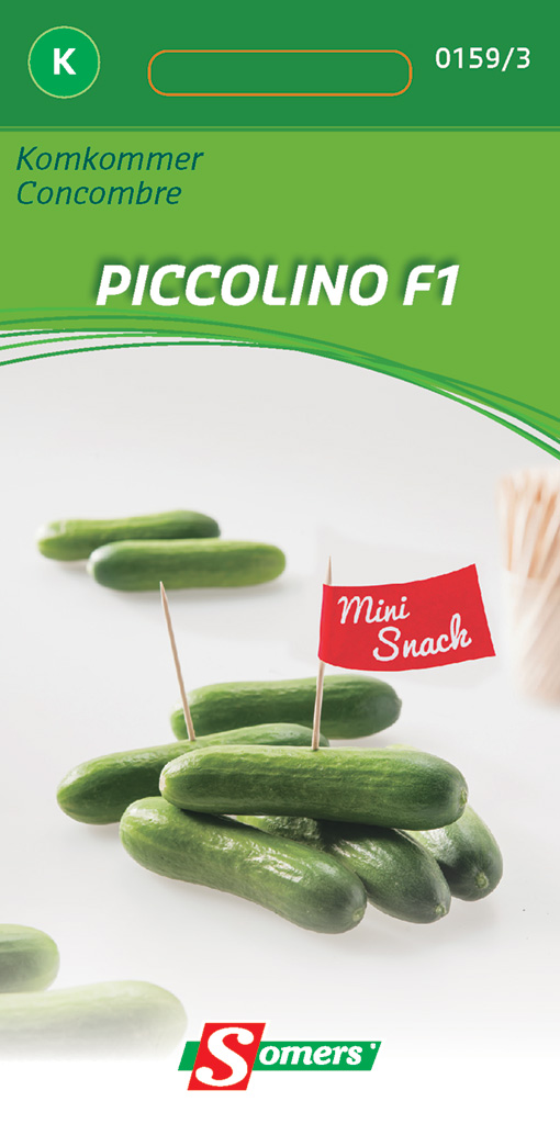 Minikomkommer PICCOLINO F1 - ca 5 z
