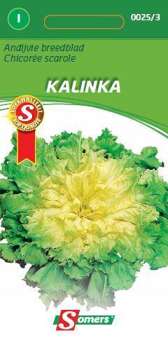 Andijvie KALINKA (MARUCHKA) - ca 2,5 g