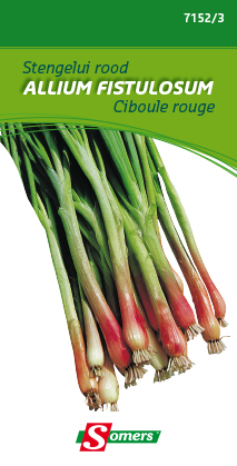 Rode bieslook - ca 2 g