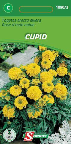 Tagetes erecta CUPID dwerg citroengeel - ca 0,5 g