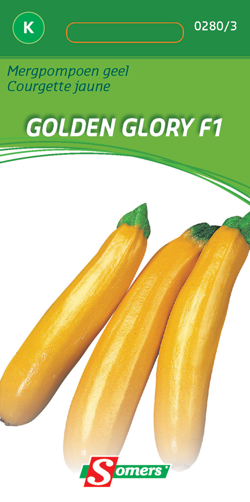 COURGETTE,GELE COURGETTE,GOLDEN GLORY F1 (PARADOR F1),ca. 10 zaden