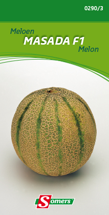 Galia MASADA F1 - ca 5 s