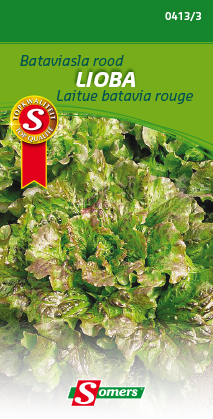 ##Ijsbergsla LIOBA ROOD - ca 0,4 g