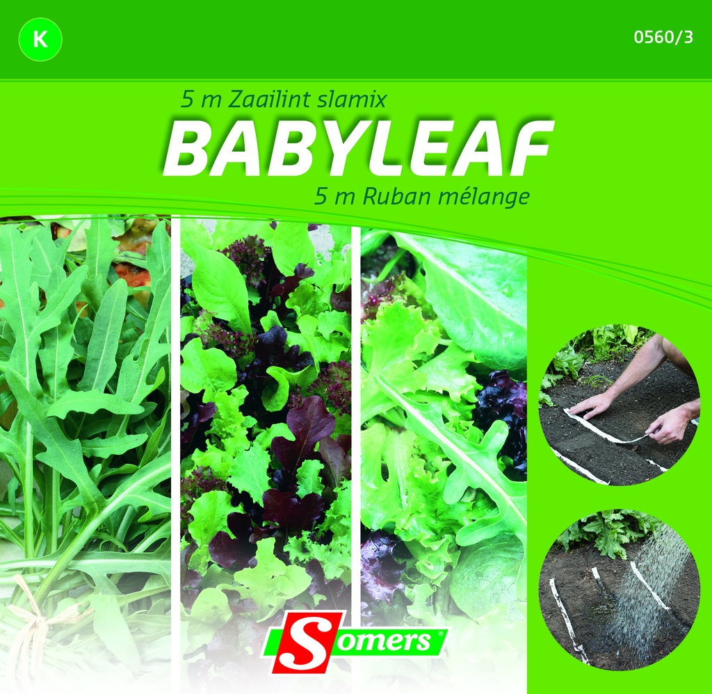 Babyleaves ZAAILINT SLAMIX - ca 5 m