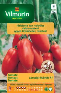 Romatomates LANCELOT F1 - ca 0,1 g