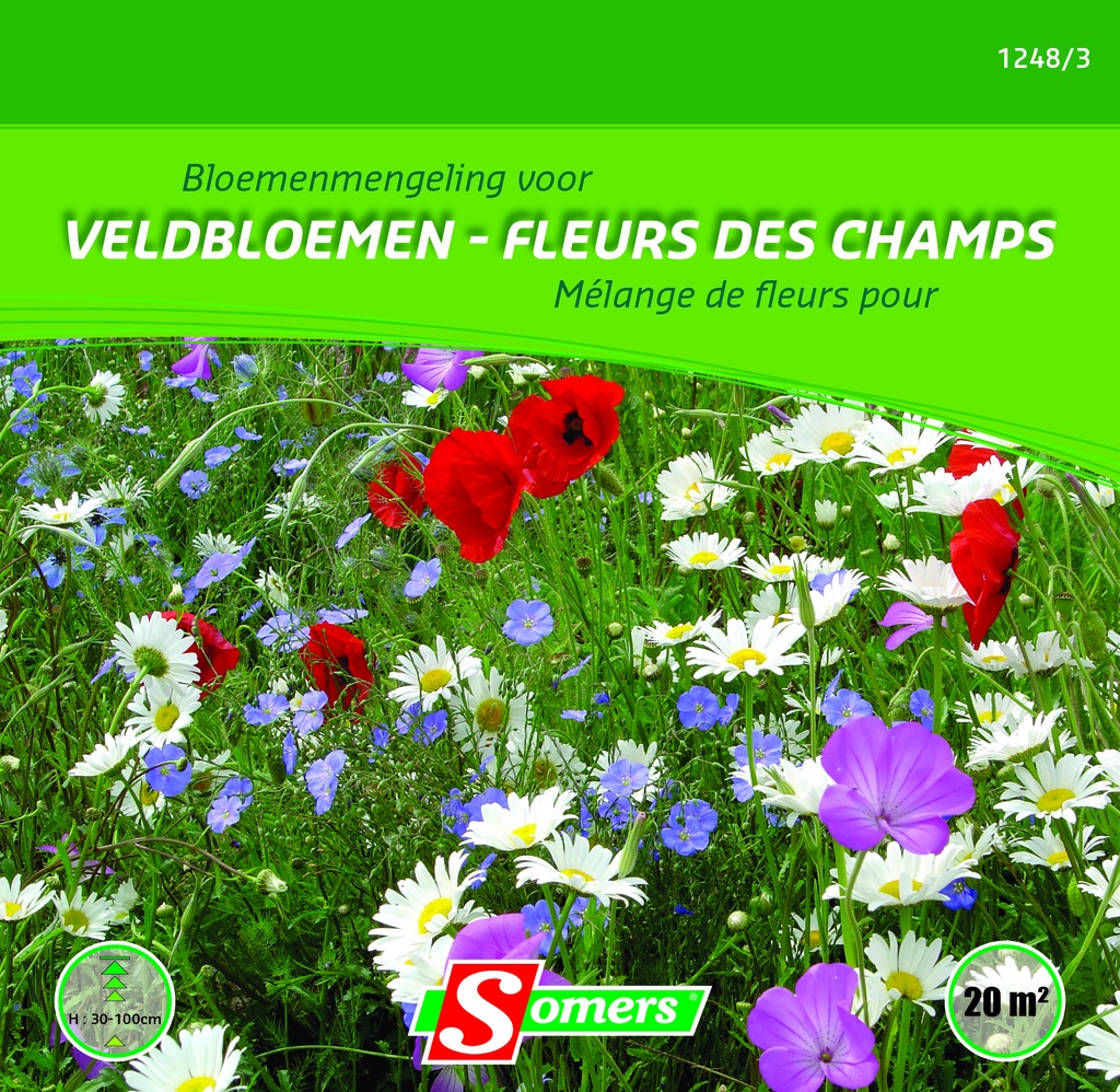 Mélange de FLEURS DU CHAMPS - ca 20 m²