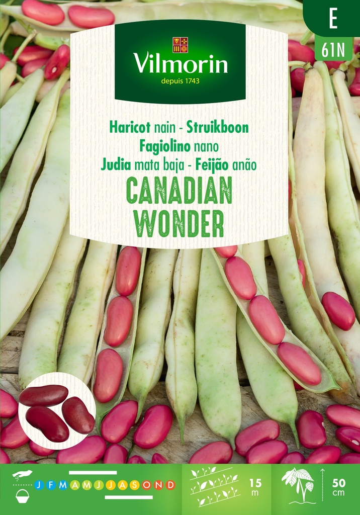 Haricots à écosser CANADIAN WONDER - ca 150 g