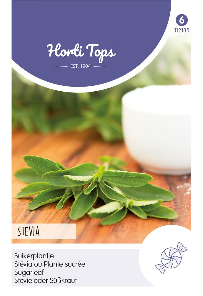Stevia - SUIKERPLANTJE OF HONINGKRUID - ca 25 z