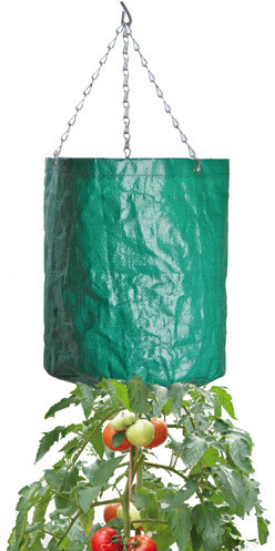 Sac à cultiver pour tomates