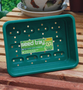 Petit bac à semer avec trous  - 23 x 17 cm