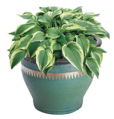 Anti slakken band - 4 m